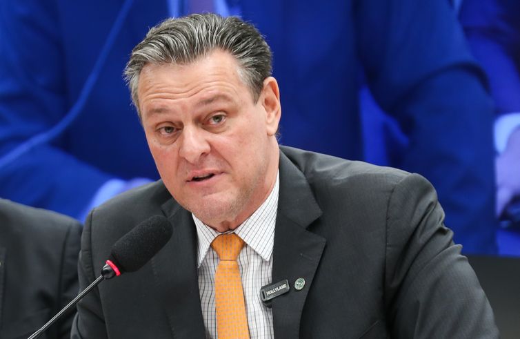 Gripe aviária não deve impactar preço da carne de frango, diz ministro