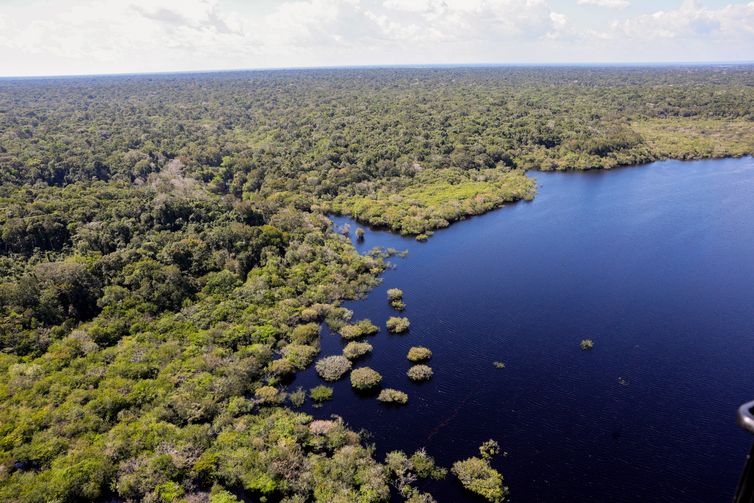 COP30: quarto leilão do Eco Invest terá foco exclusivo na Amazônia