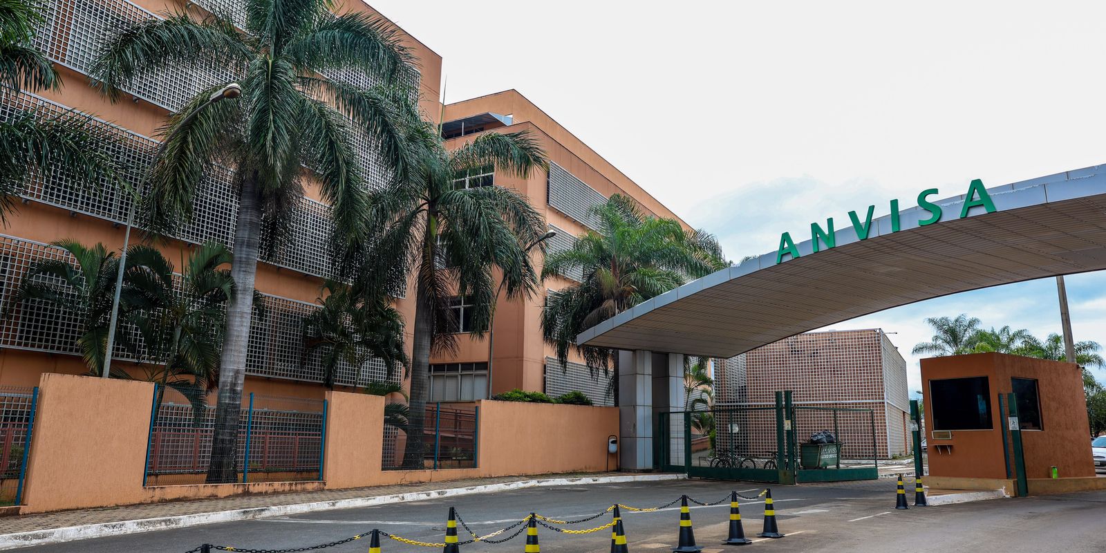 Anvisa aprova novo medicamento para tratar lúpus